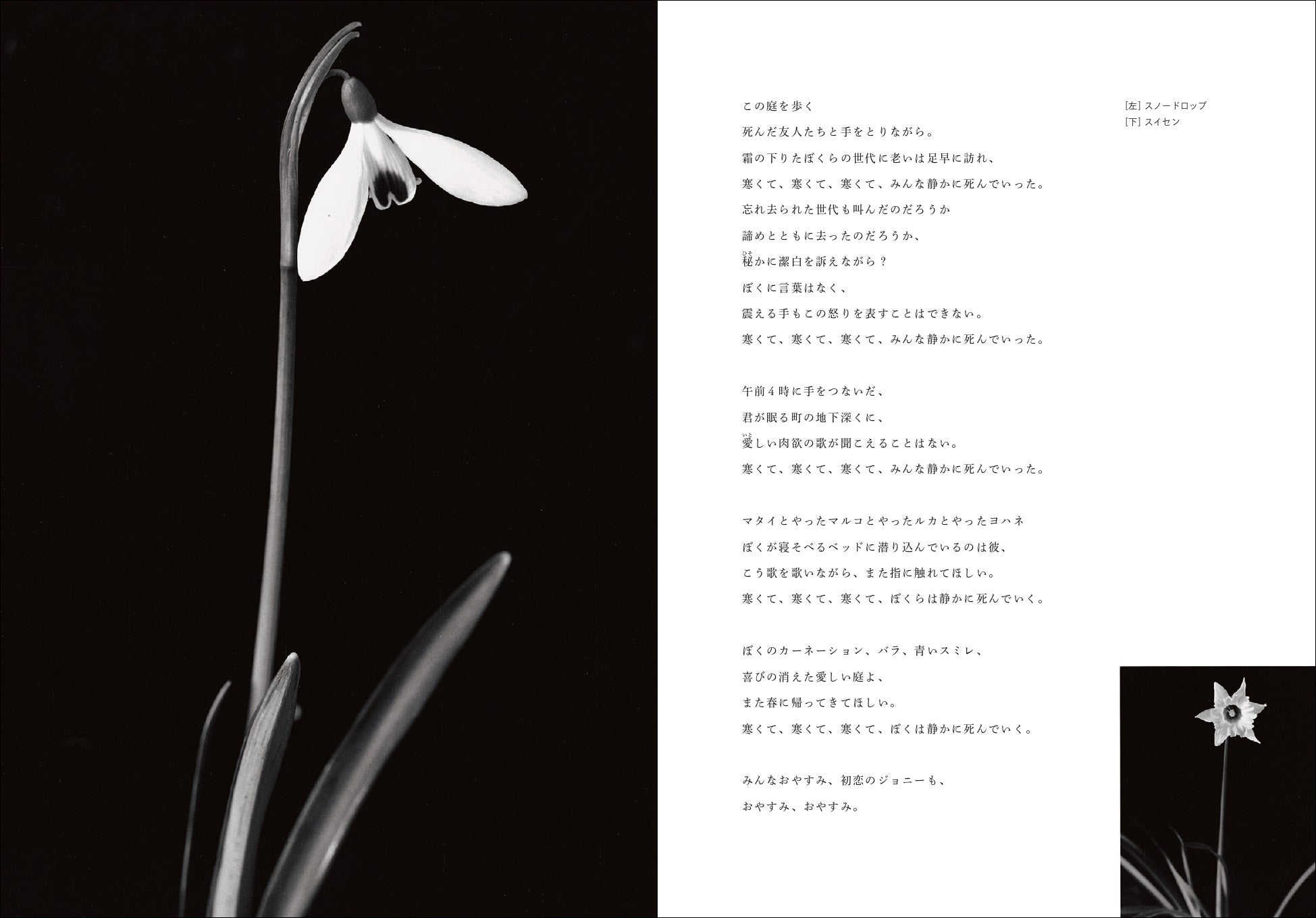 不朽の名作、約30年ぶり待望の新訳復刊！『デレク・ジャーマンの