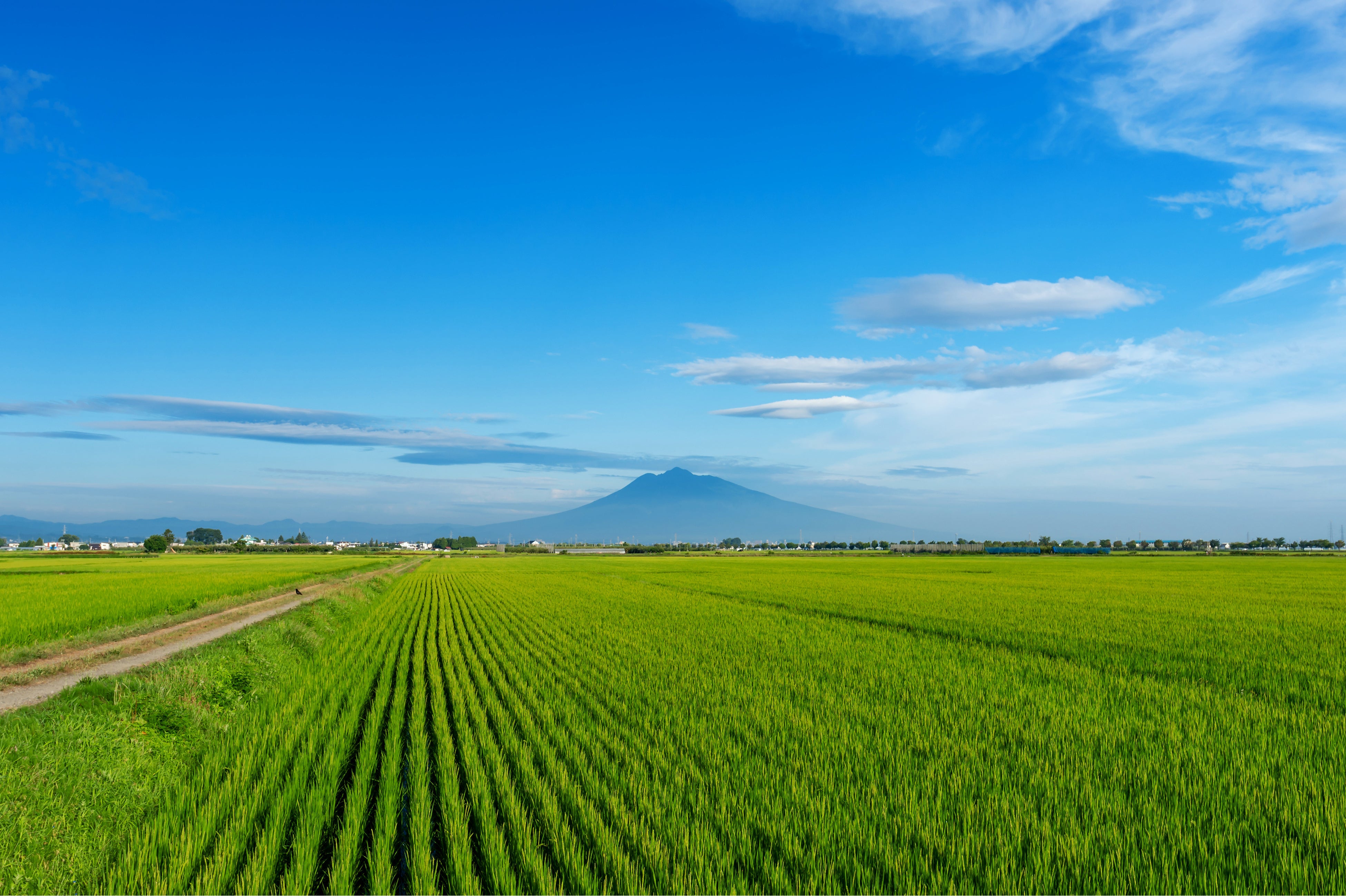 津軽の明峰岩木山