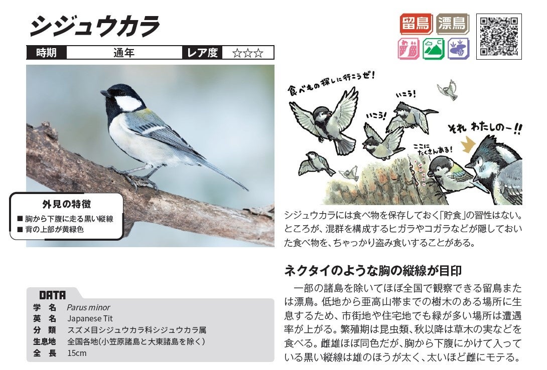 自宅から半径2kmでも楽しめる街なかバードウォッチング本の決定版 Qrコード掲載で全1種の鳥の鳴き声も聴ける 株式会社art Nextのプレスリリース 自宅から半径2kmでも楽しめる街なかバードウォッチング本の決定版 Qrコード掲載で全1種の鳥の鳴き声も聴ける 株式会社art Nextのプレスリリース