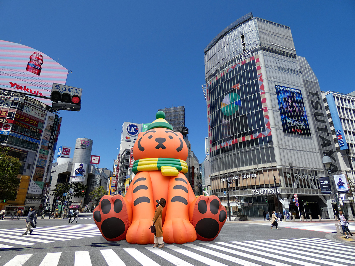 ※画像はイメージです