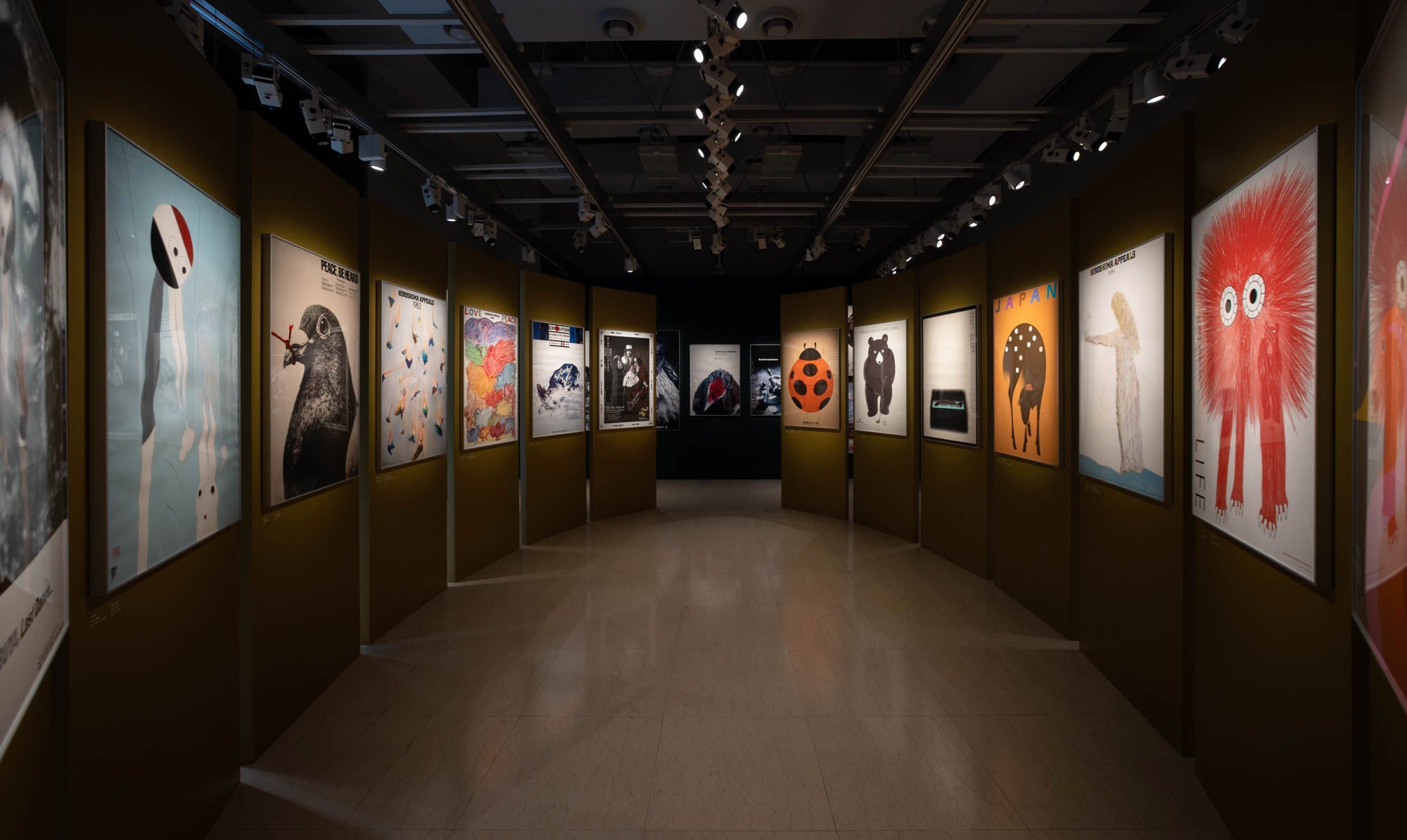 写真：藤塚光政