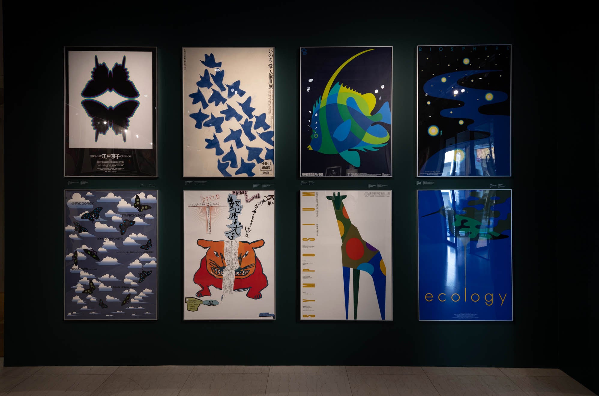 写真：藤塚光政