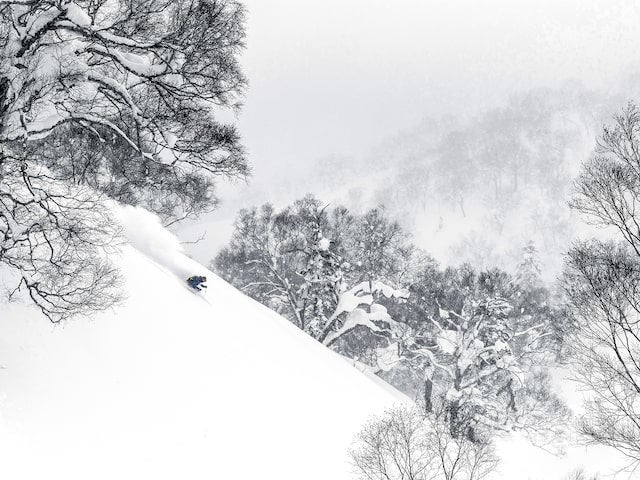 北海道のパウダースノー