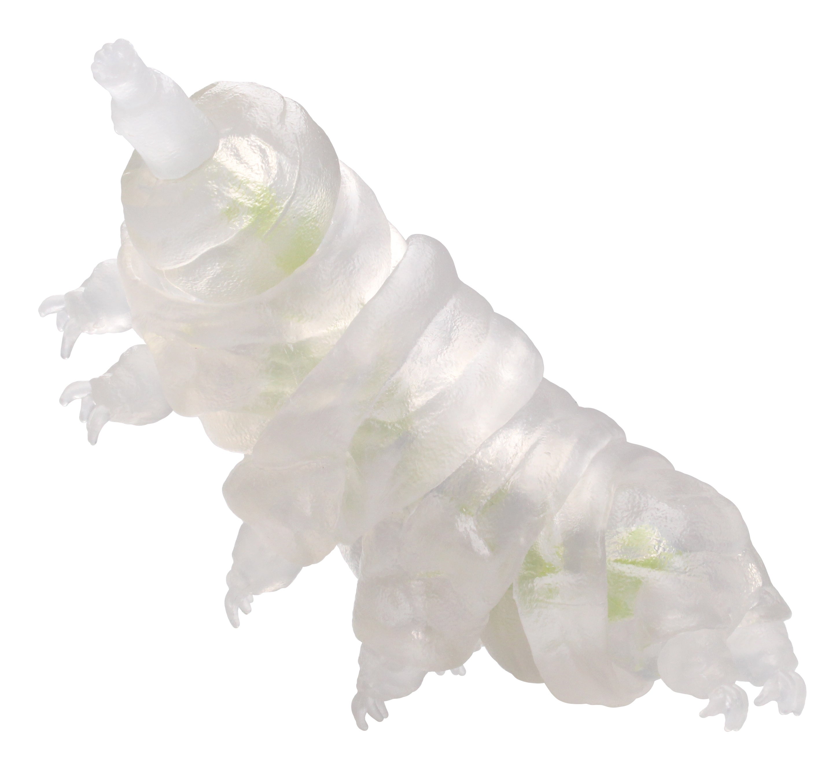 クマムシ（透明色／捕食版）