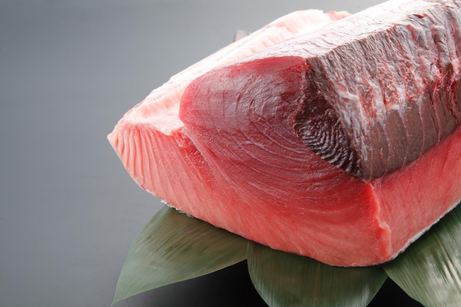 本鮪（イメージ）