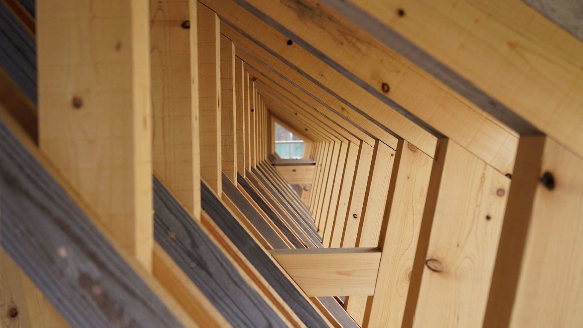 小屋組に使われている木材は、濃色部分が組み合わさることで他に例のない”陰翳”をつくりだしている