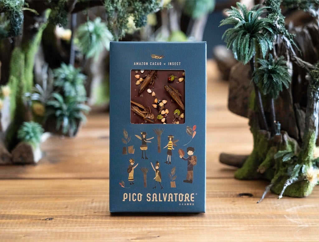 AMAZON CACAO×INSECT　　タブレットチョコレート　蝗＜イナゴ＞