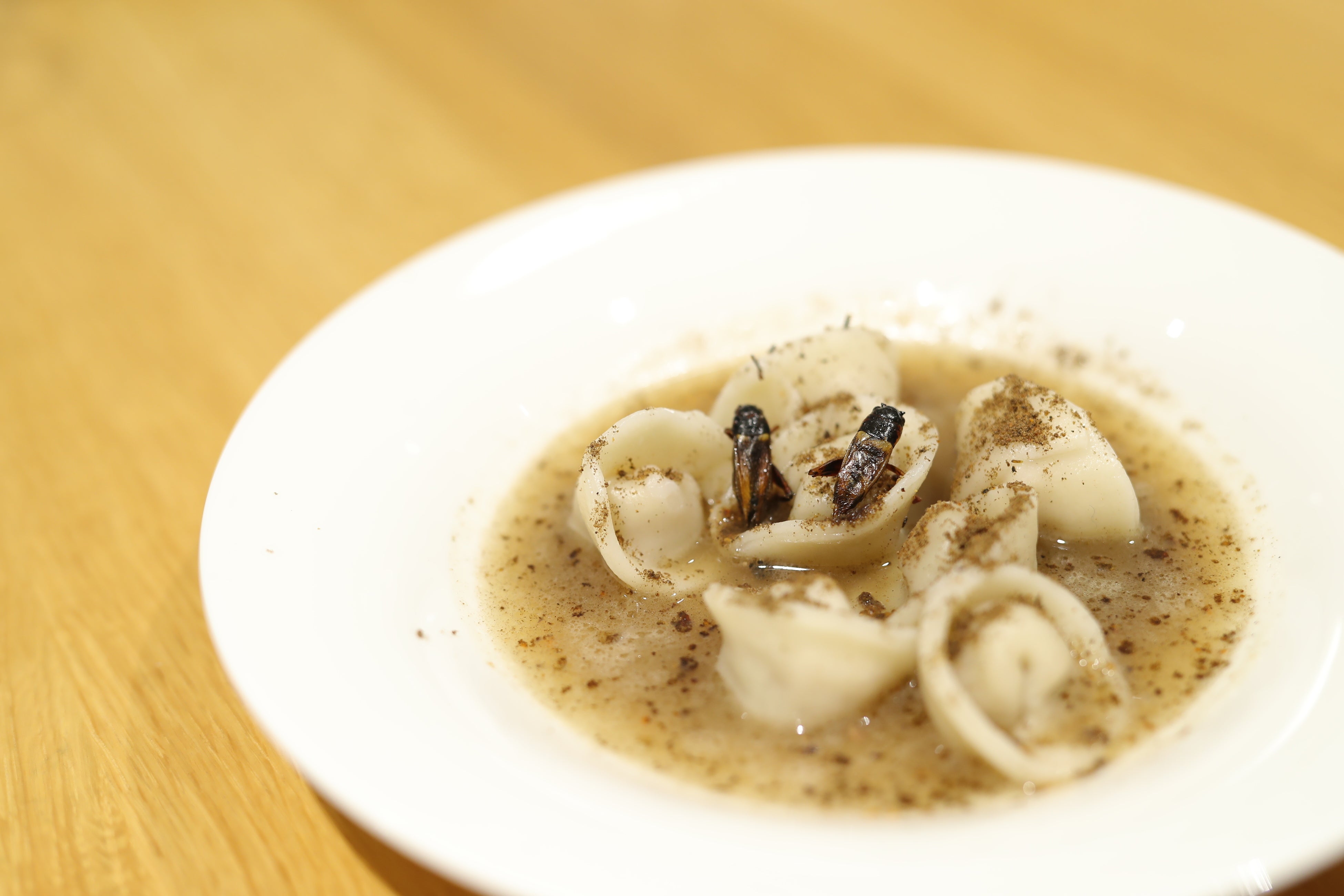 昆虫をふんだんに使ったウクライナ風水餃子「ペリメニ」