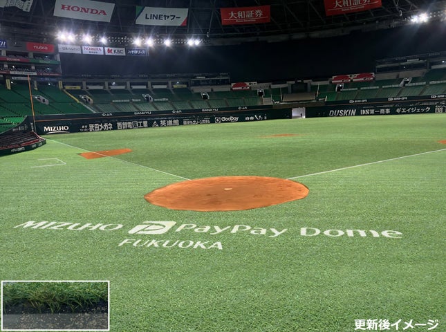 ミズノ野球専用人工芝「MS CRAFT BASEBALL TURF」 | ミズノ株式会社の ミズノ野球専用人工芝「MS CRAFT BASEBALL TURF」 | ミズノ株式会社の