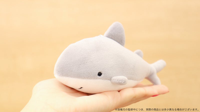公式 おでかけ子サメ ぬいぐるみ Productor Com Uy 公式 おでかけ子サメ ぬいぐるみ Productor Com Uy