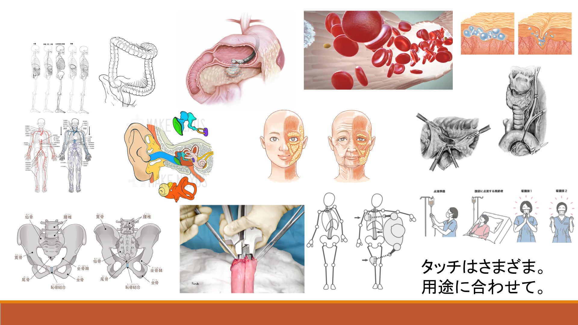 医学医療を可視化するメディカルイラストレーションを身近に L Kメディカルアートクリエイターズ株式会社 間もなく1周年 Lkmacのプレスリリース 医学医療を可視化するメディカルイラストレーションを身近に L Kメディカルアートクリエイターズ株式会社 間もなく1周年 Lkmacのプレスリリース