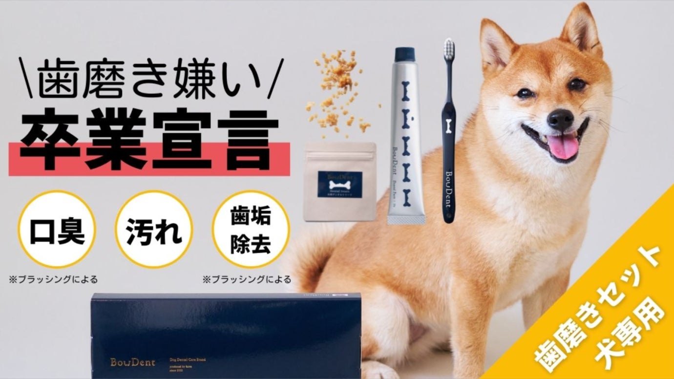 わずか3時間で目標達成 愛犬用の歯磨きセット Bowdent がmakuakeにて先行販売開始 株式会社toiroのプレスリリース わずか3時間で目標達成 愛犬用の歯磨きセット Bowdent がmakuakeにて先行販売開始 株式会社toiroのプレスリリース