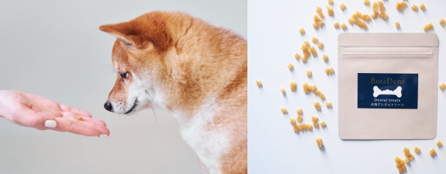 わずか3時間で目標達成 愛犬用の歯磨きセット Bowdent がmakuakeにて先行販売開始 株式会社toiroのプレスリリース わずか3時間で目標達成 愛犬用の歯磨きセット Bowdent がmakuakeにて先行販売開始 株式会社toiroのプレスリリース