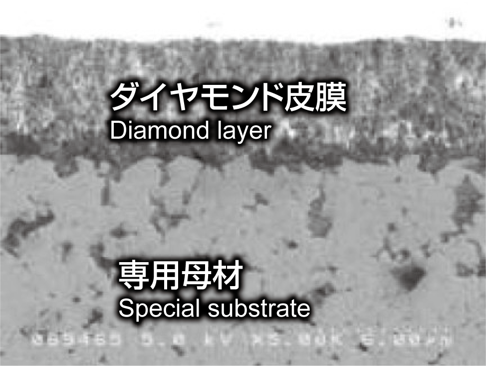 コーティング断面