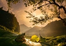 第41回「日本の自然」写真コンテスト作品募集 2024年3月まで 第41回「日本の自然」写真コンテスト作品募集 2024年3月まで