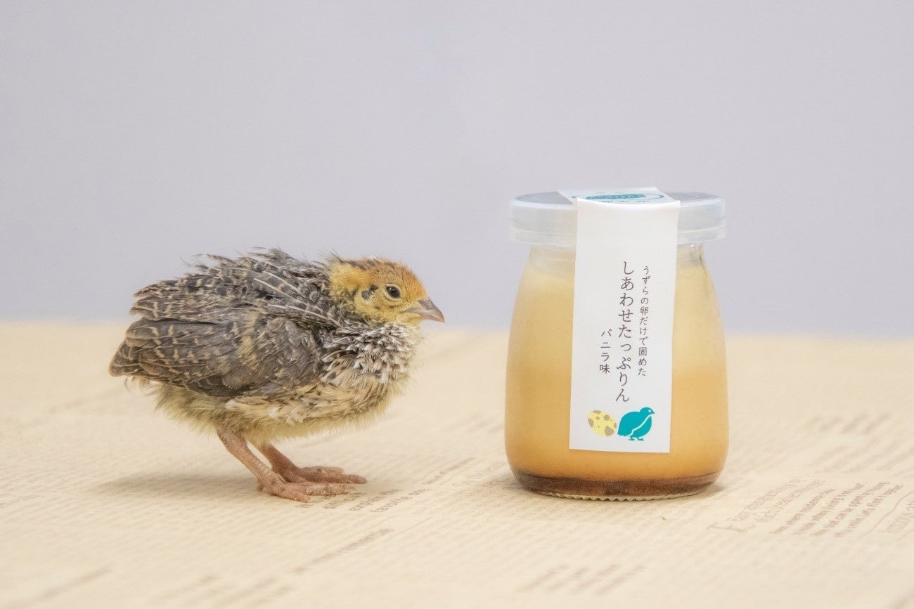 Yuka Oさん　放鳥時おやつ処　3点 What's the difference between egg yolk rice balls at