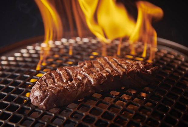 歓喜の塊ハラミ