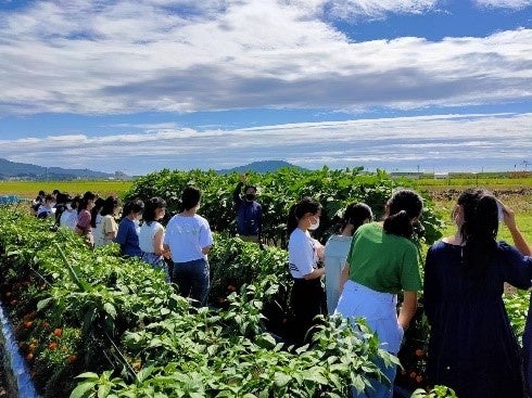 場内散策ツアーガイド