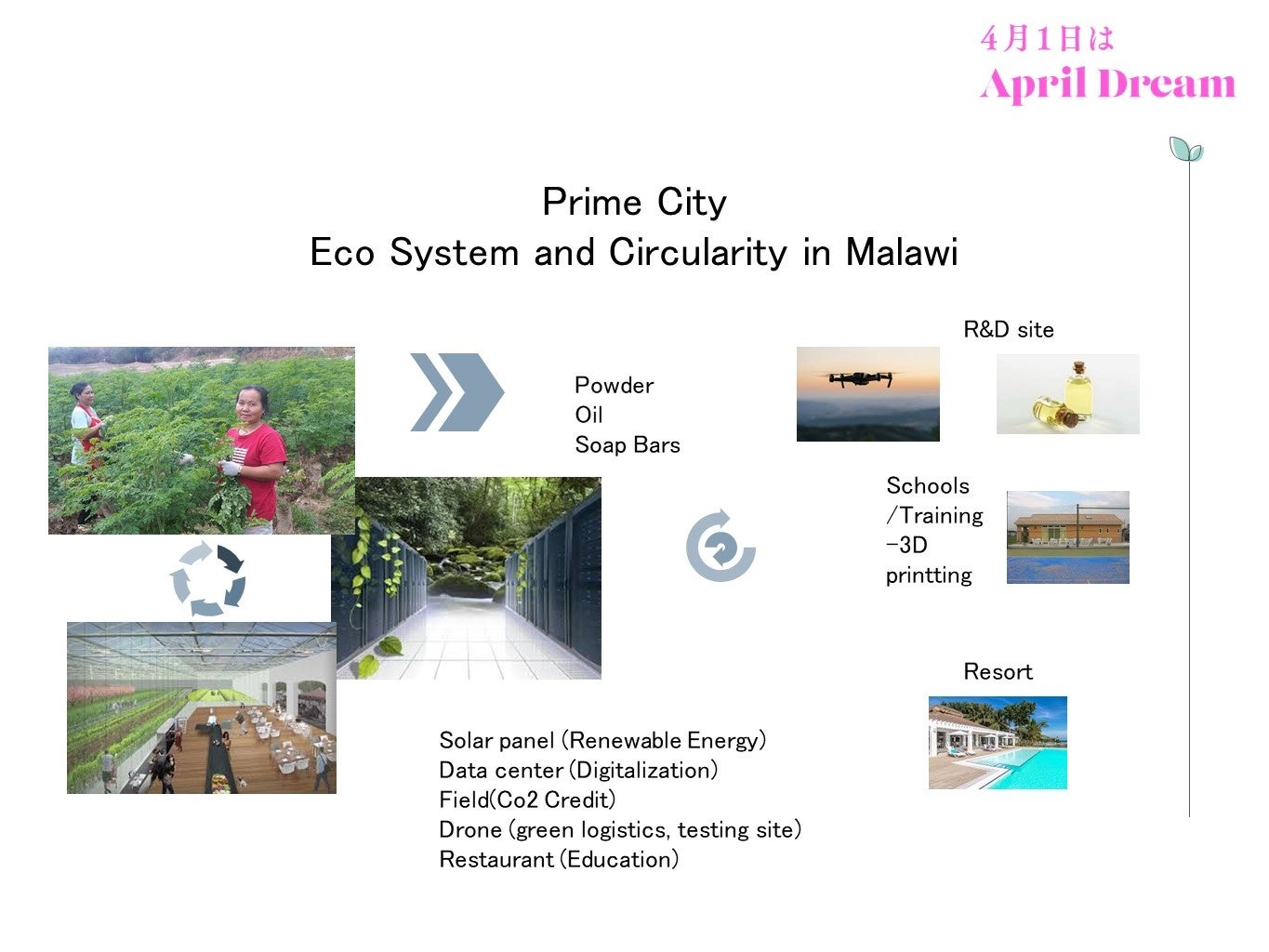 循環型エコシステム－image-