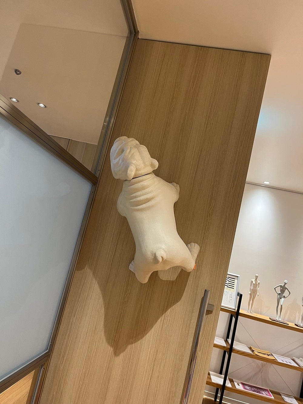 壁にくっついている様子