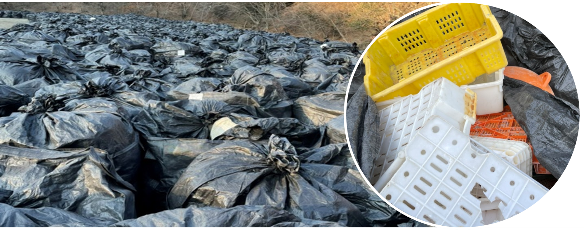 海岸から回収保管された硬質プラごみ