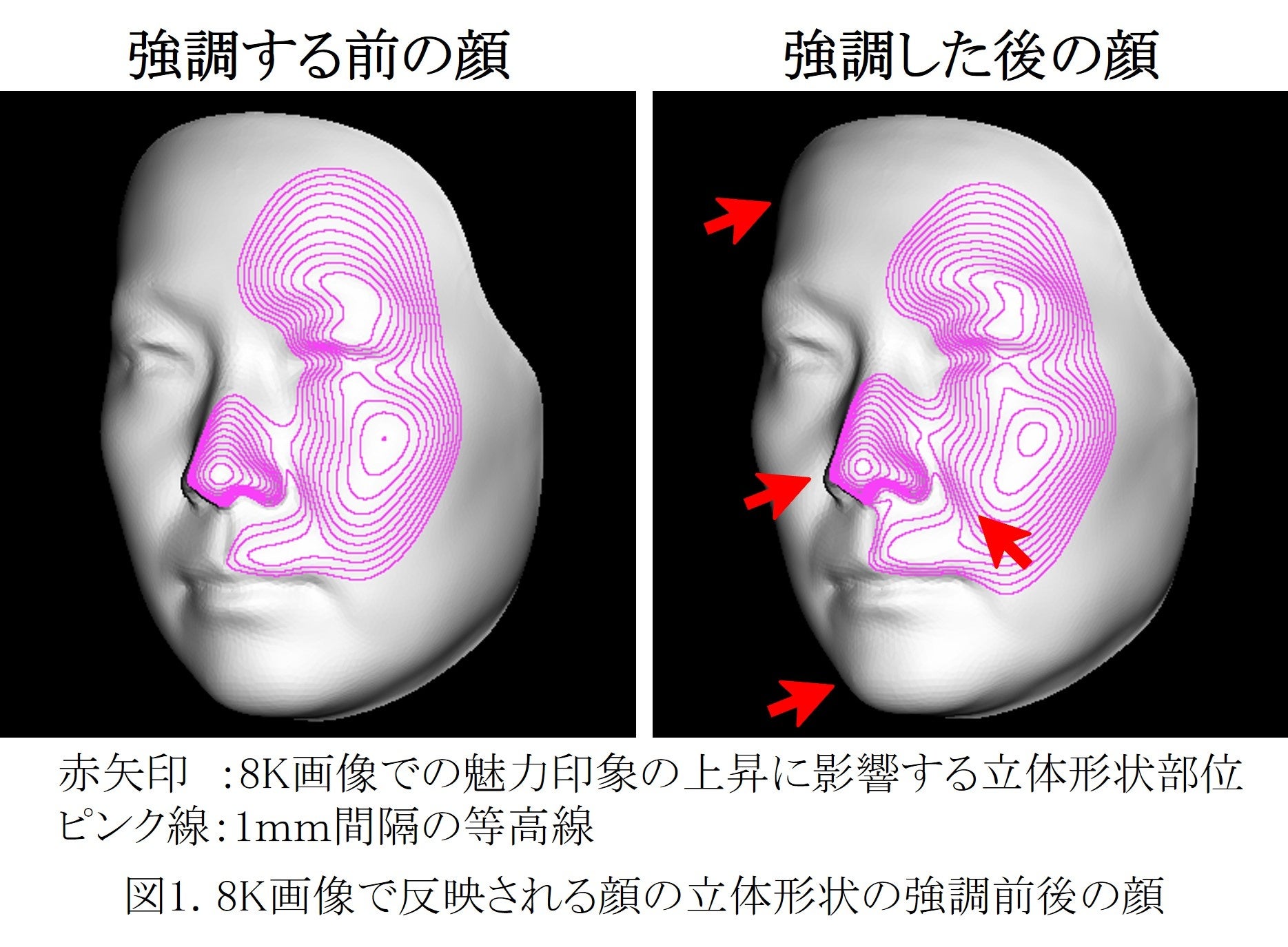 大気反応化学 (朝倉化学大系 8) 化学反応動力学 朝倉化学大系 (5) (朝倉化学体系 5) | 中村 宏樹
