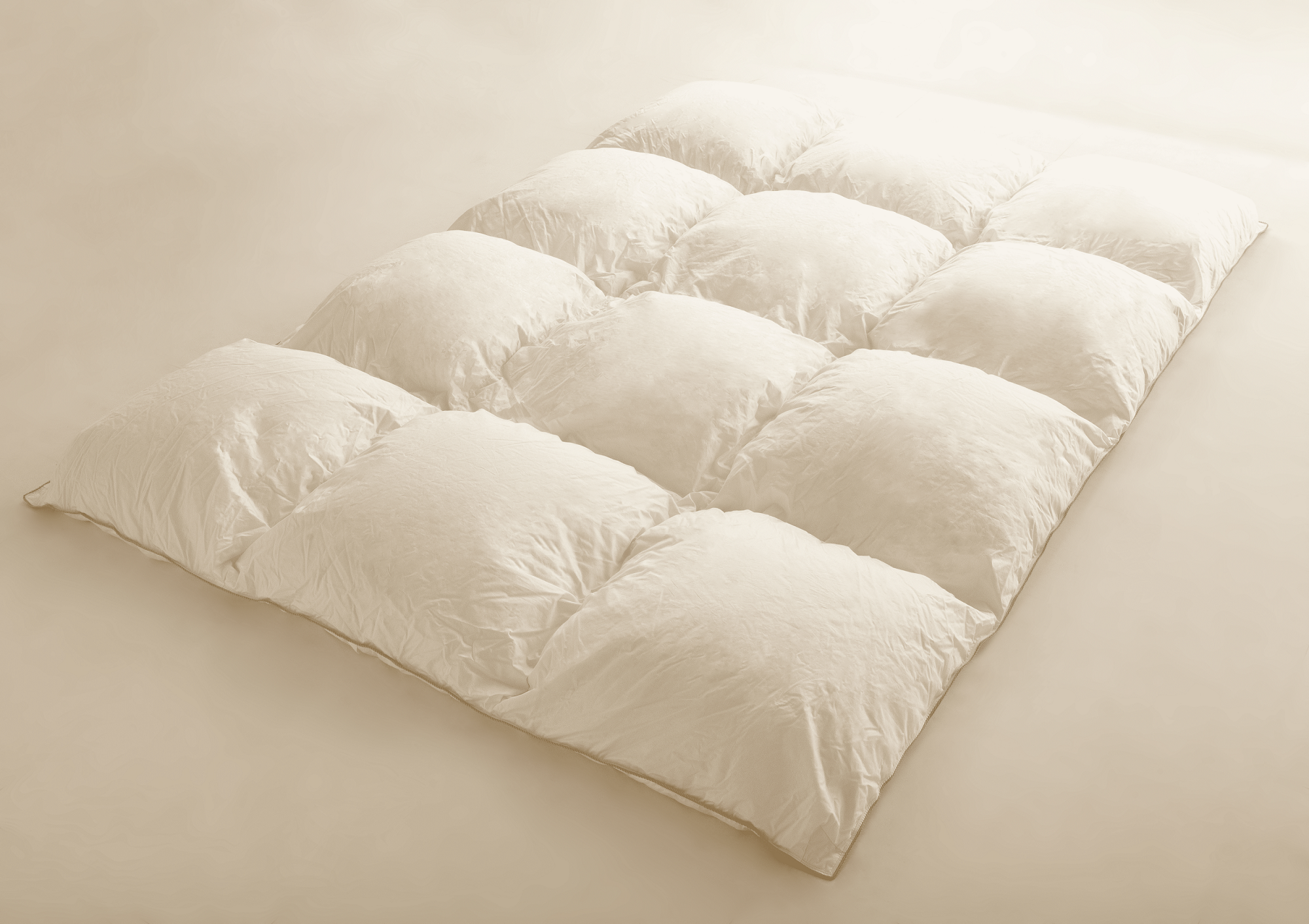 ポーランド産ホワイトマザーグースから採取した高品質の羽毛を使用した「セレブレイト」