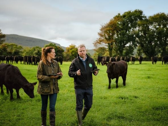 オリジングリーンプログラム