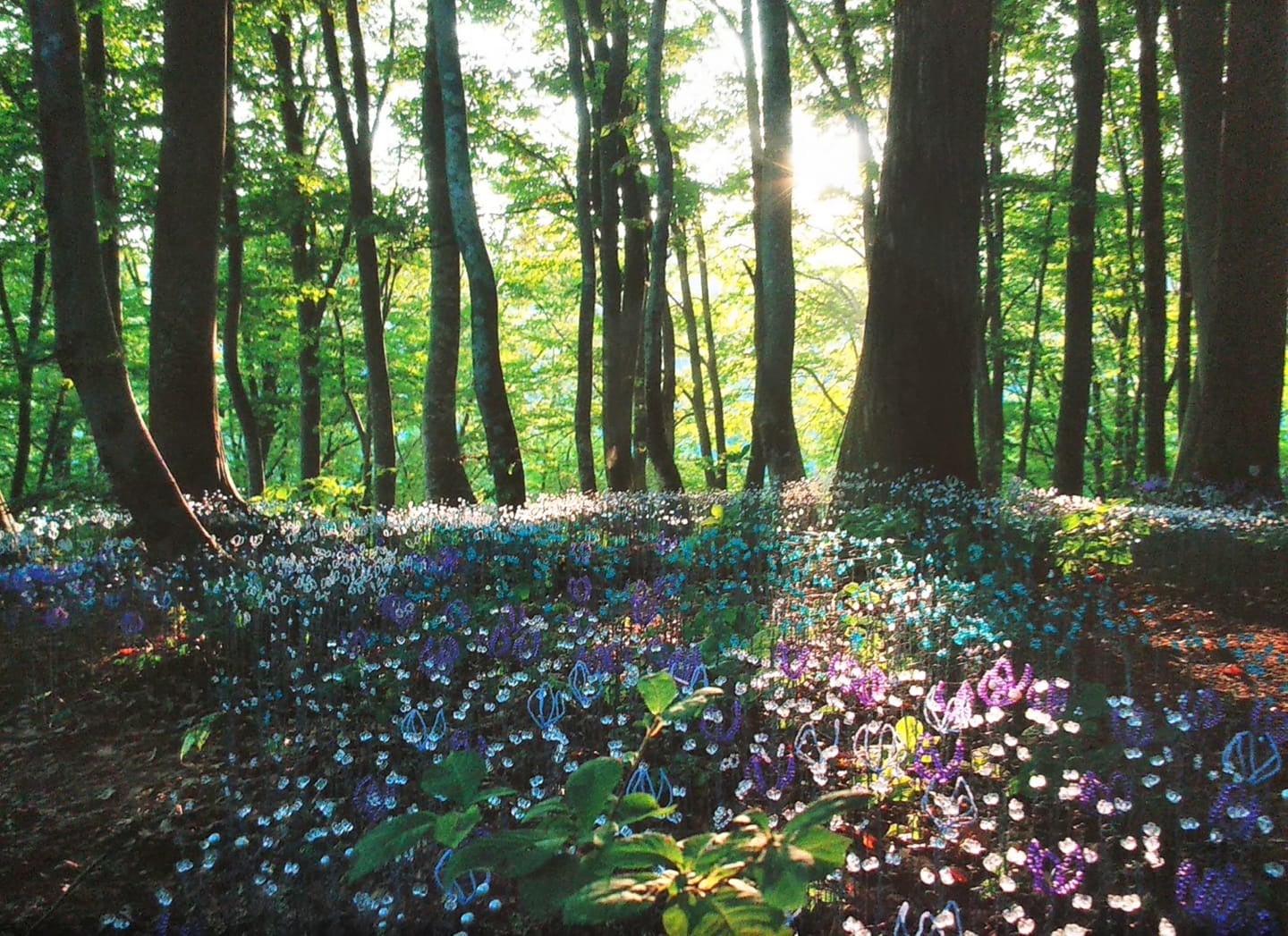 「こころの花」（作家提供）
