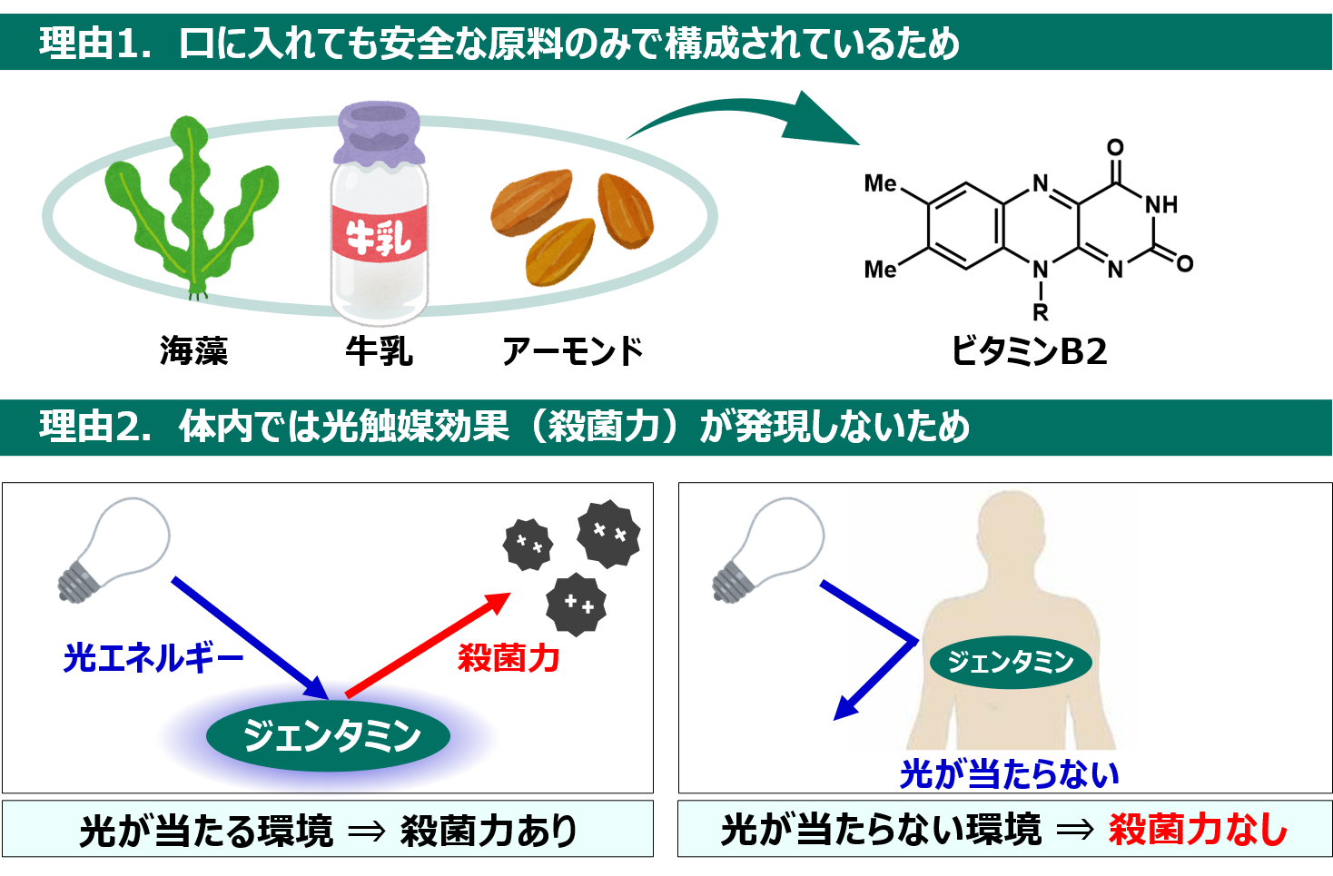 図2 ジェンタミンが殺菌性と安全性を両立する理由