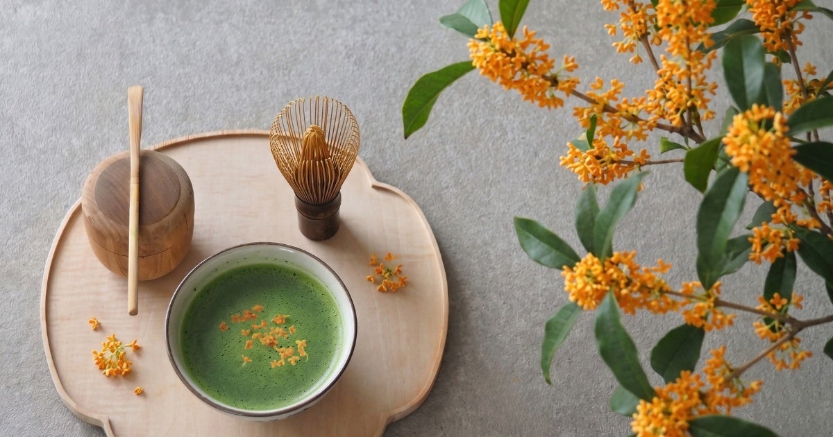 秋の香りを、点てる。WACHA、季節限定「金木犀抹茶（OSMANTHUS MATCHA）」を発表