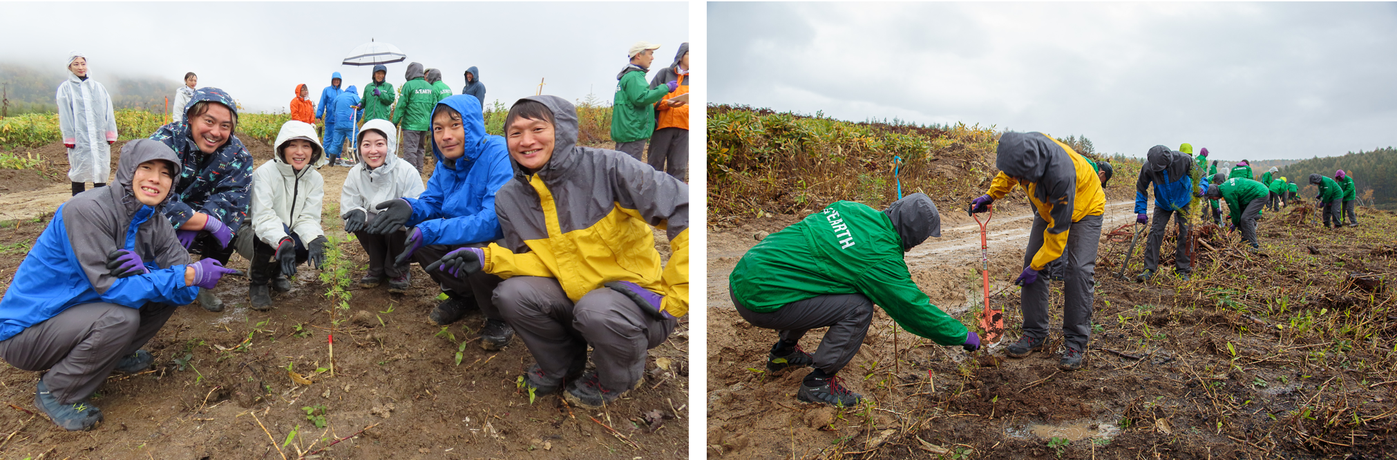 植林研修活動を実施した様子