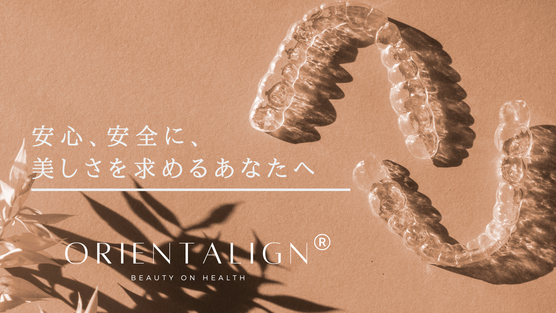 JOHNSTON　new Vistas in Orhodontics 歯列矯正 JOHNSTON new Vistas in Orhodontics 歯列矯正