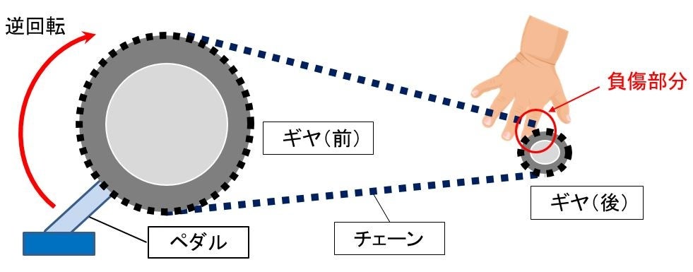 ペダルを逆回転させて動くチェーンとギヤの間に指が挟まる