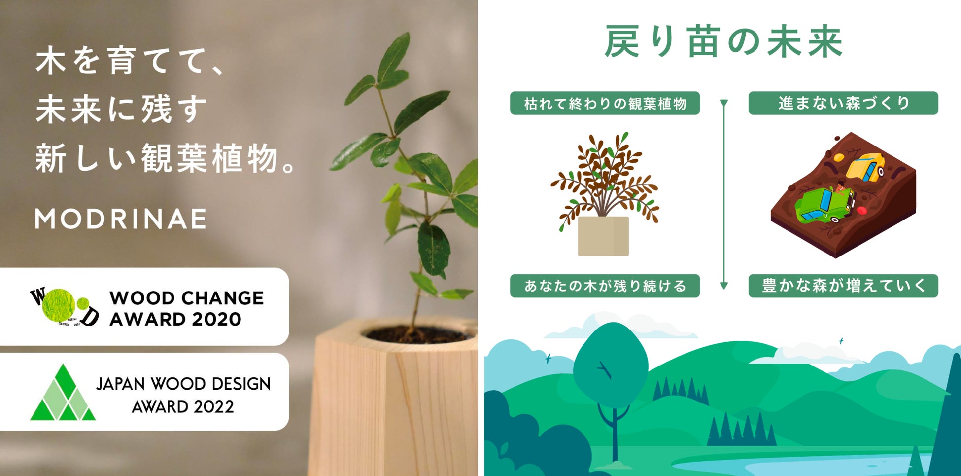 戻り苗が実現する、豊かな森づくり