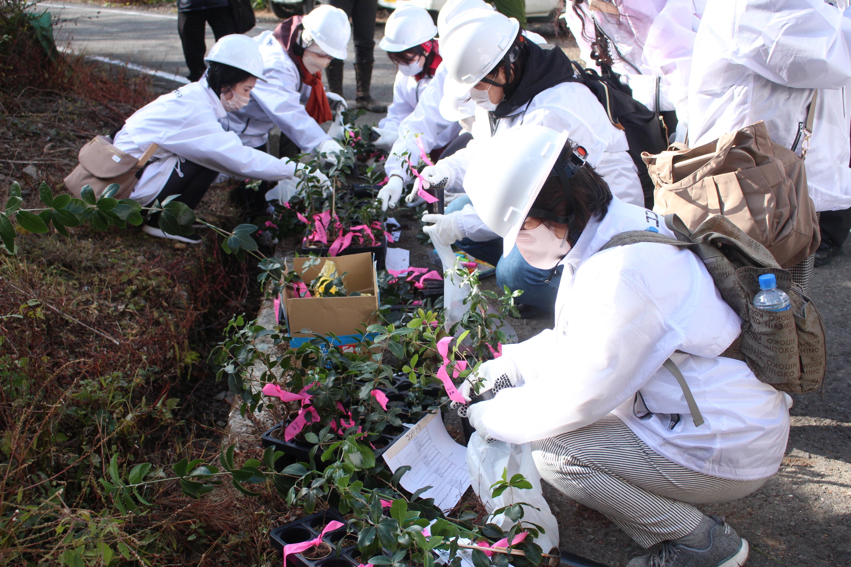 育てた苗木を手に取る従業員様