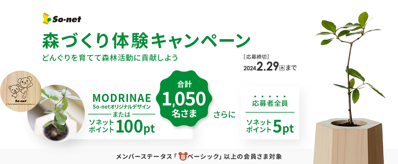 「so-net」会員特典・ポイントページのキャンペーンバナー