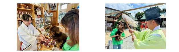 11月1日「犬の日」に愛犬と茅の輪くぐり しまなみ海道・因島の大山神社で第3回「わんこ祭」