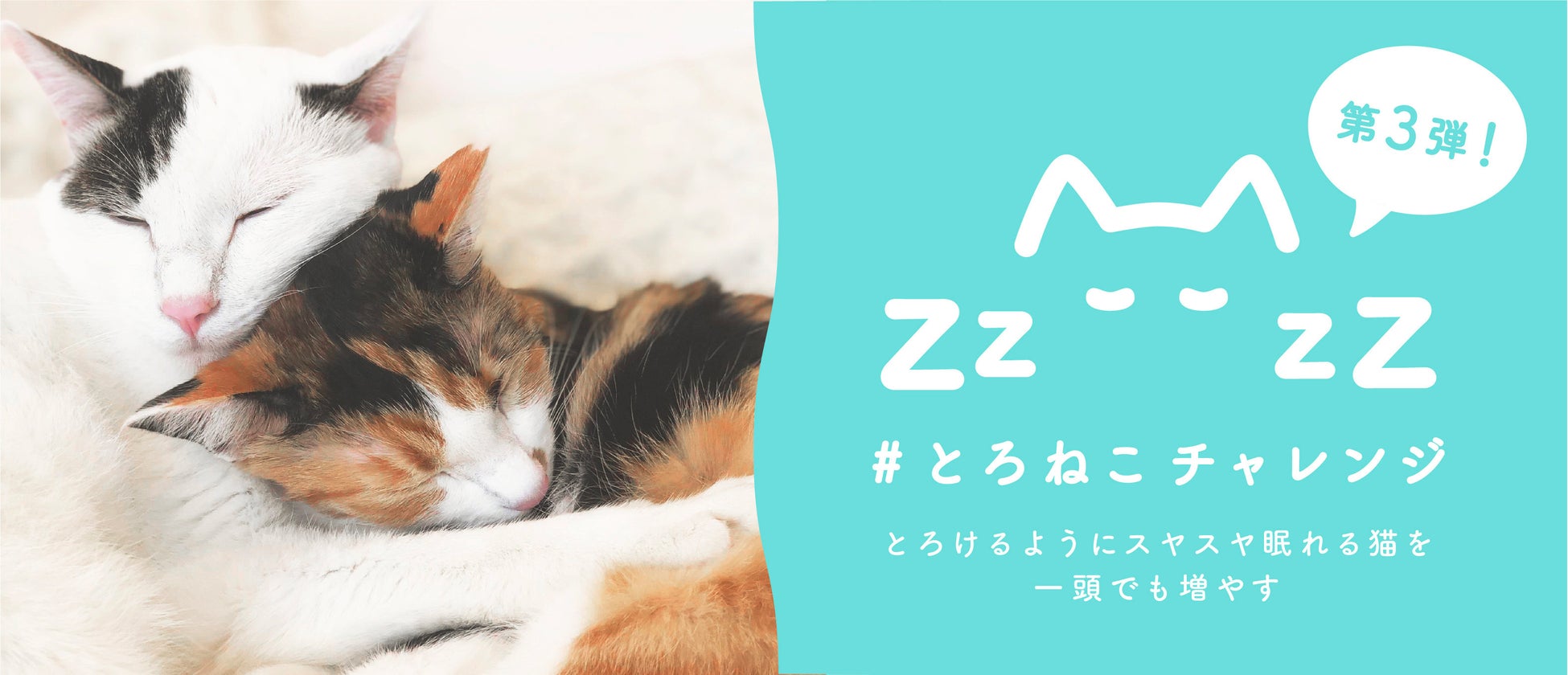 Zx3gdztjle3m Zx3gdztjle3m