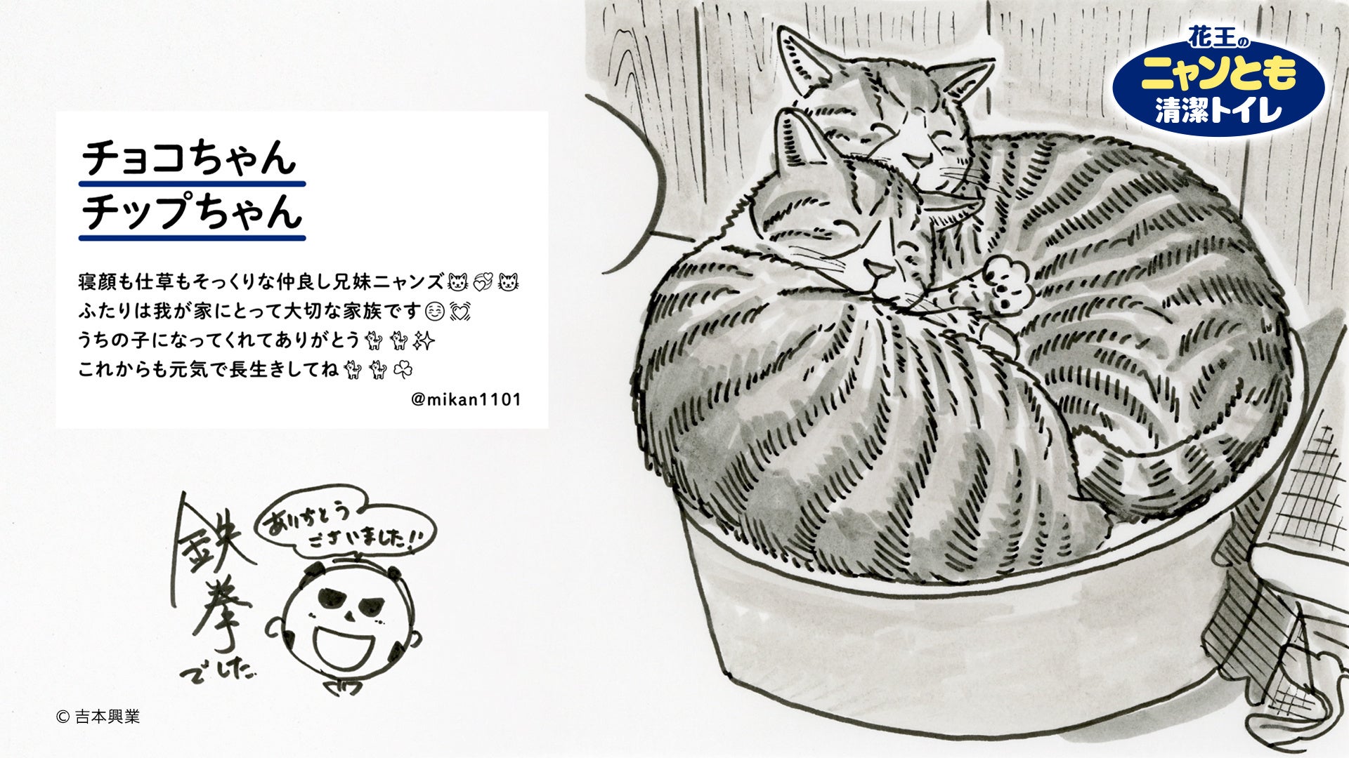 保護猫活動を応援！Twitterで募集した猫ちゃんを鉄拳さんがイラスト