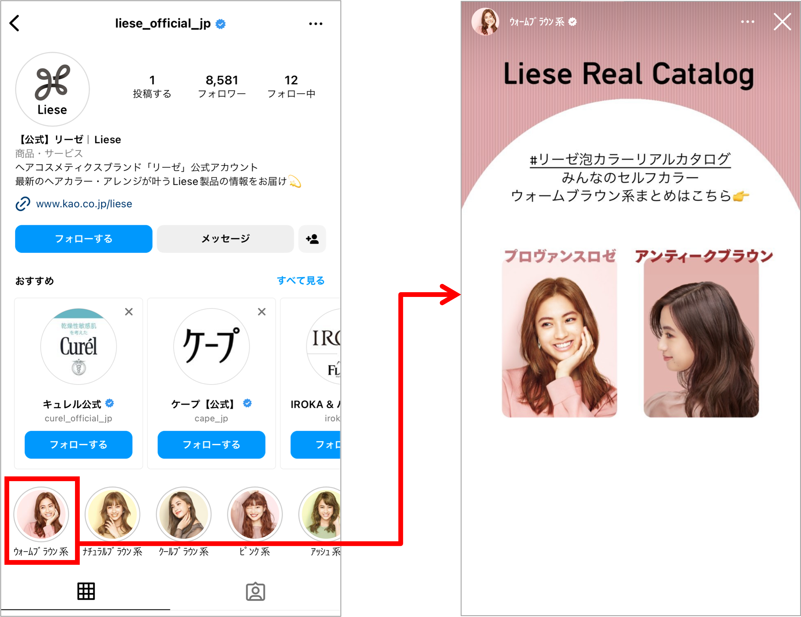 「リーゼリアルカタログ」（色系統まとめ）の一例