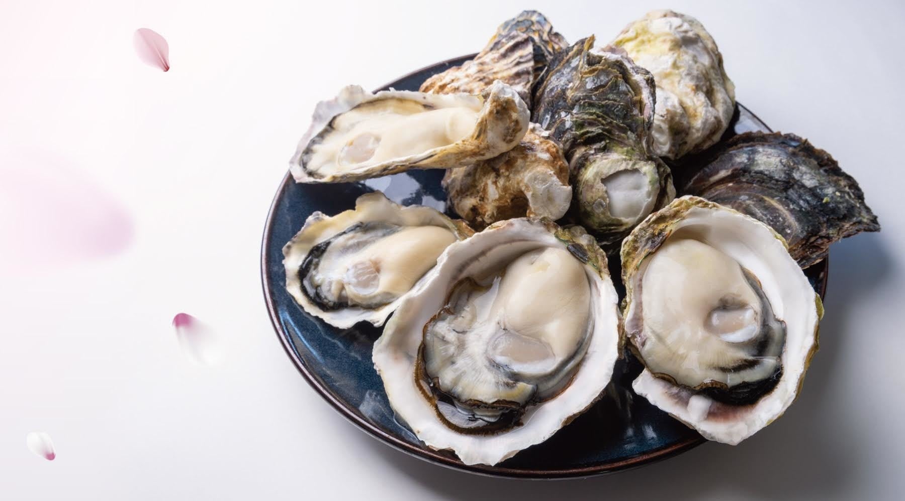 岩牡蠣『春香』と真牡蠣の食べ比べイメージ