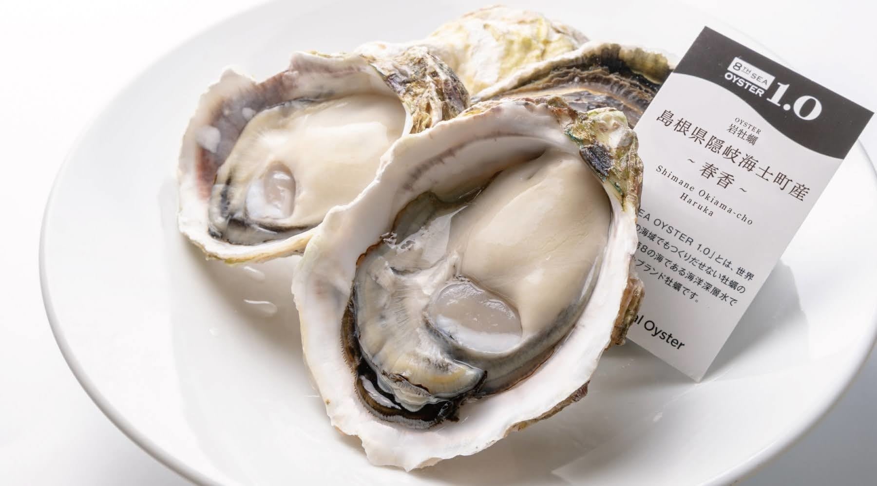 岩牡蠣「春香」イメージ