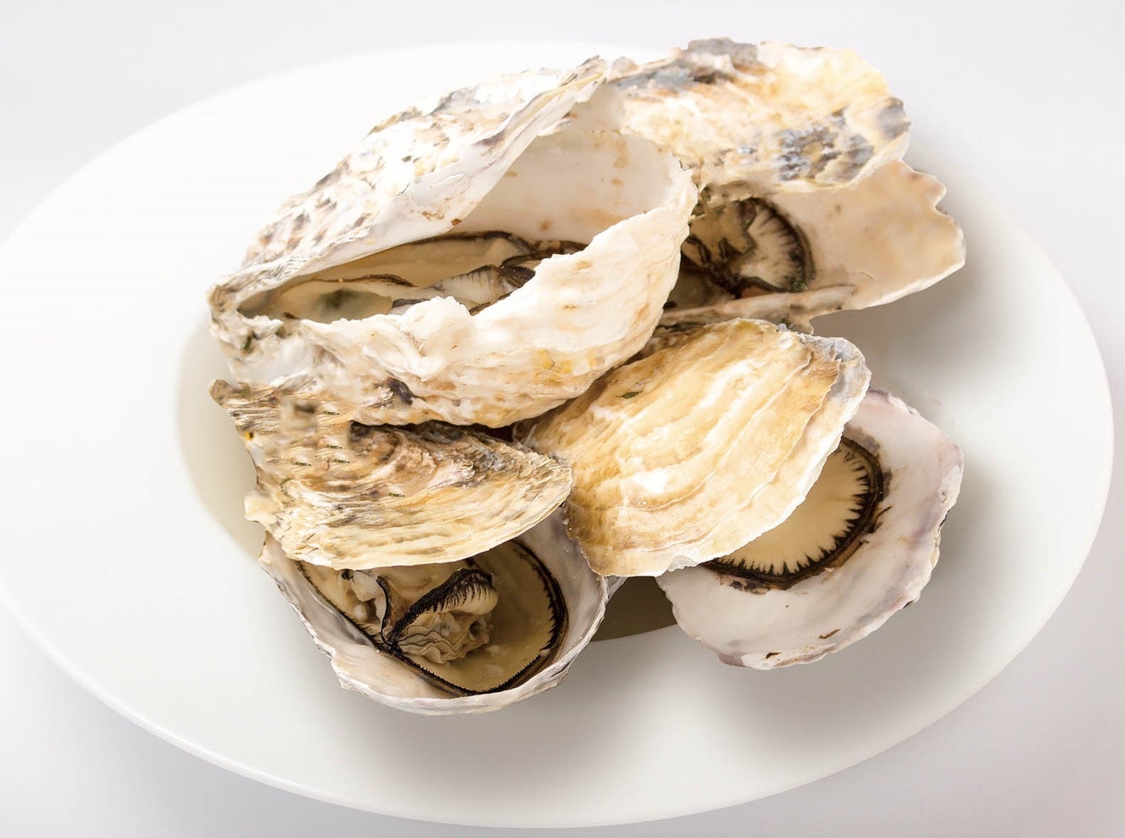 ワイン蒸し４ピース　イメージ