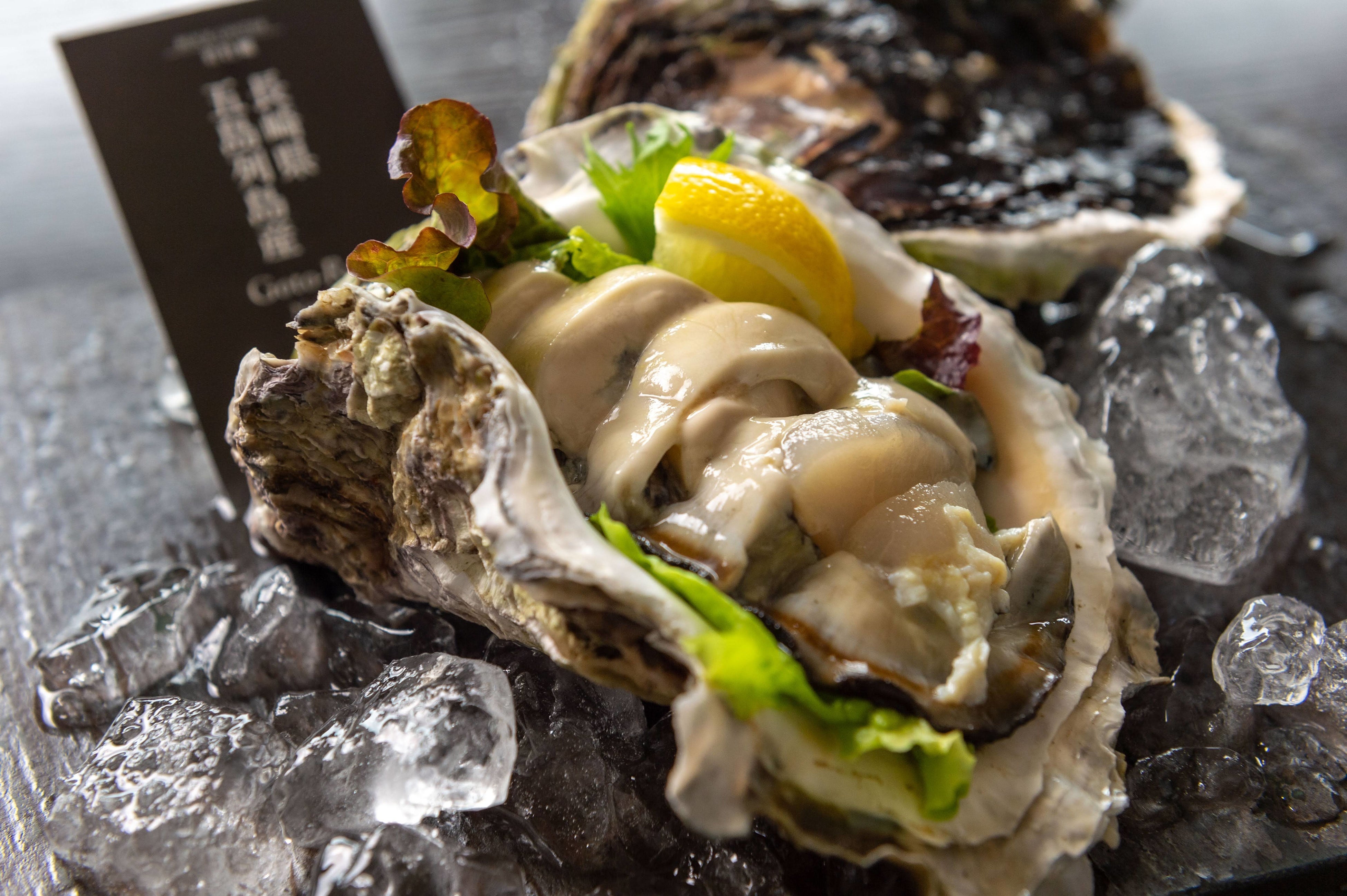 岩牡蠣「椿」イメージ