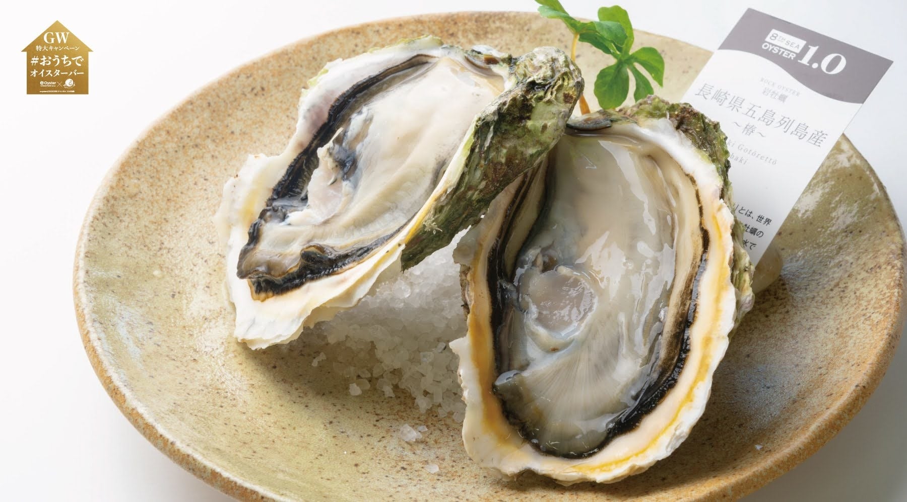 Gwはおうちでオイスターバー Youtube Cococoroチャンネル 初コラボ 5 5生配信で 一緒におうちで牡蠣料理チャレンジ 株式会社ゼネラル オイスターのプレスリリース