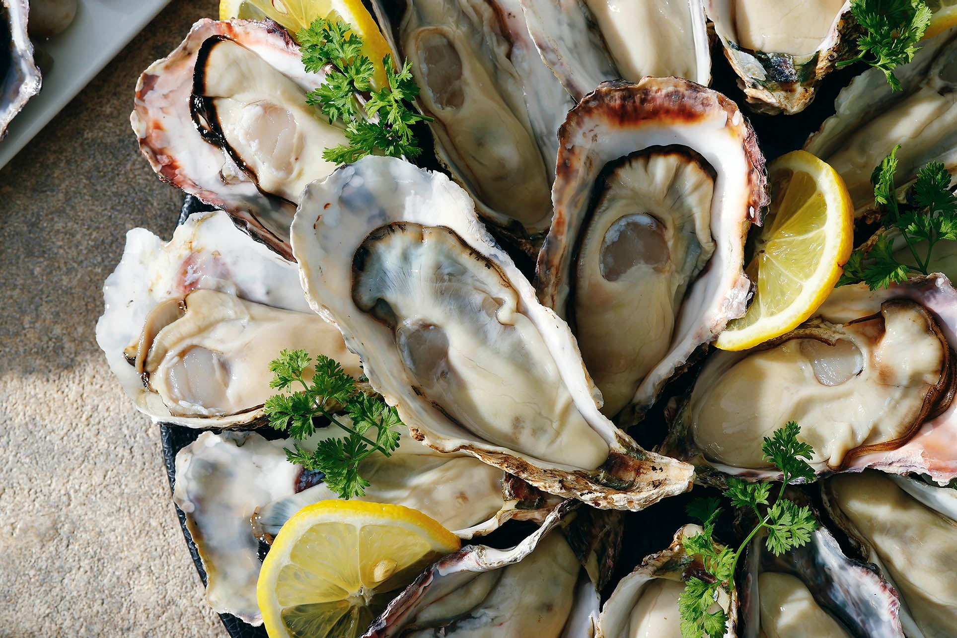 生牡蠣イメージ2