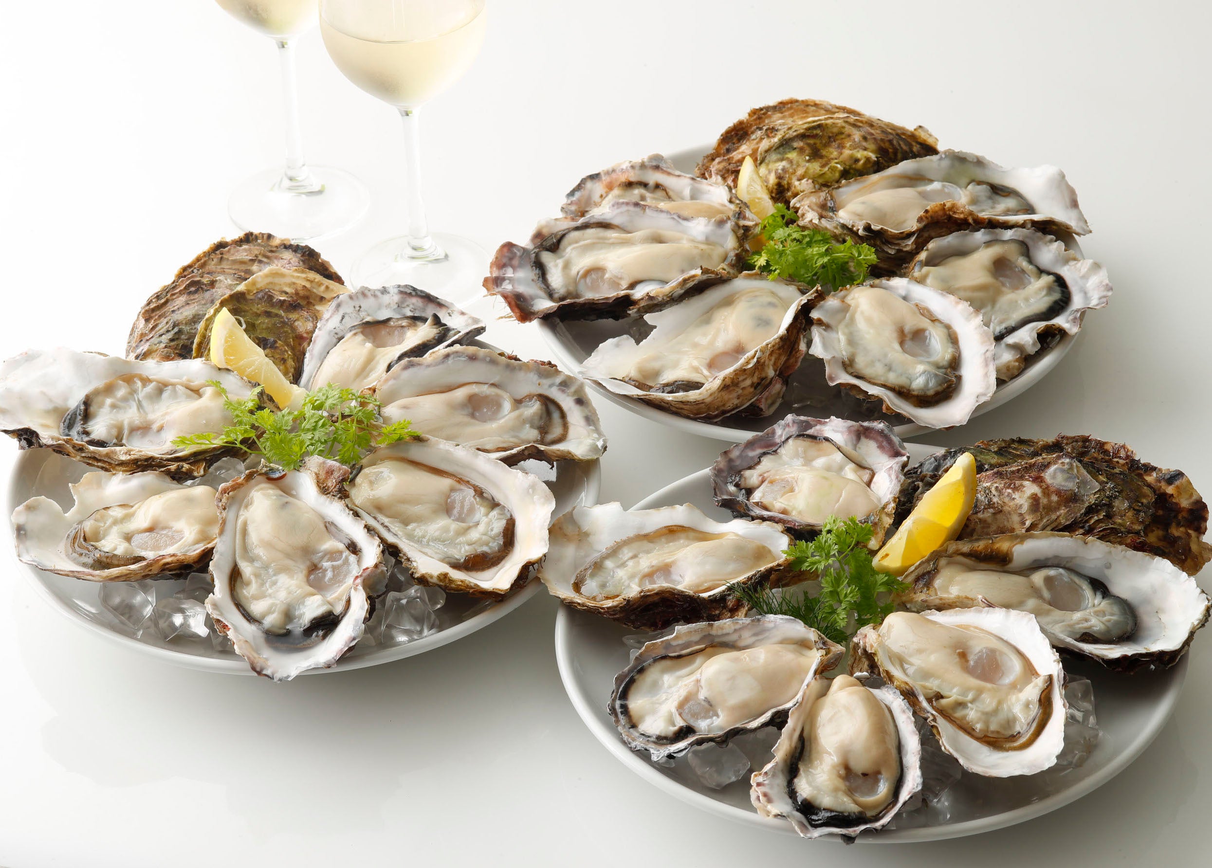 生牡蠣半額イメージ