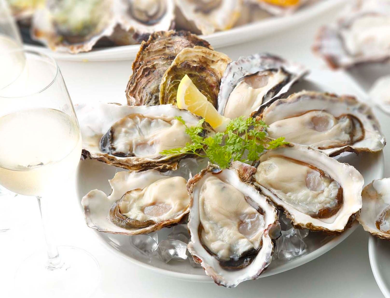 11月23日は 年に1度の 牡蠣の日 ズラリそろった全国の銘産地 生牡蠣 終日半額 株式会社ゼネラル オイスターのプレスリリース 11月23日は 年に1度の 牡蠣の日 ズラリそろった全国の銘産地 生牡蠣 終日半額 株式会社ゼネラル オイスターのプレスリリース