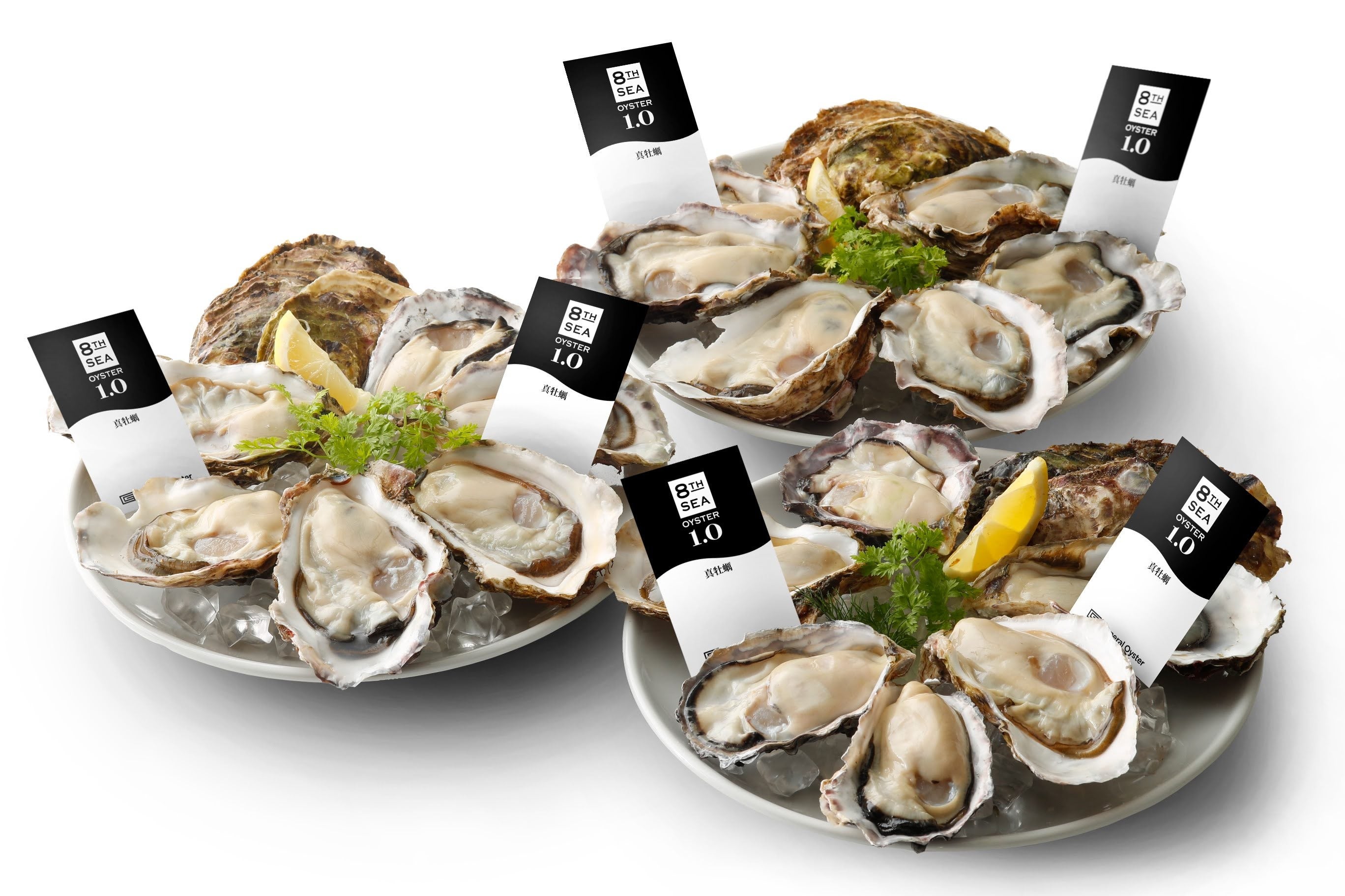 生牡蠣食べ比べセット